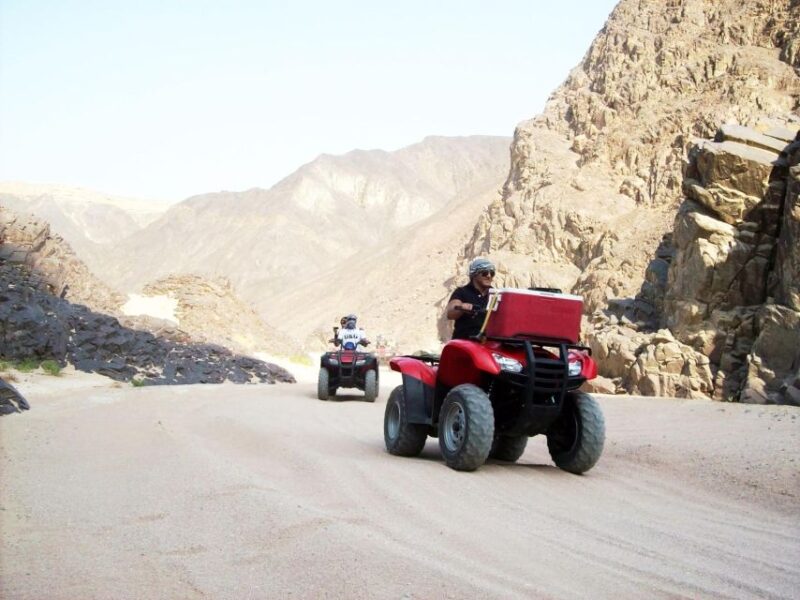 Makadi: Quad, Jeep, Camel, and Buggy Safari With BBQ Dinner - Key Points