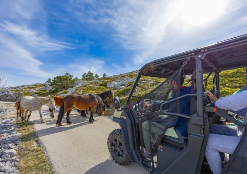 Makarska Skywalk Biokovo Tour - Good To Know