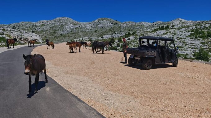 Makarska Skywalk Biokovo Tour - Unique Buggy Ride Experience