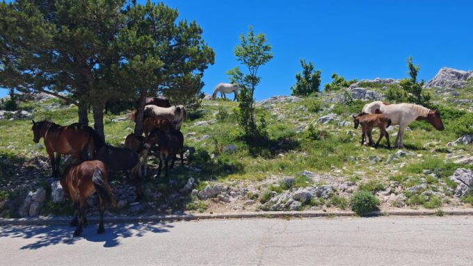 Makarska Skywalk Biokovo Tour - Panoramic and Sunset Tour Options