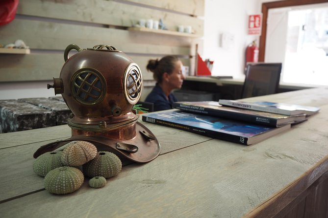 Make a Private Try Dive, for Your First Scuba Experience! - Scuba Diving Equipment Provided