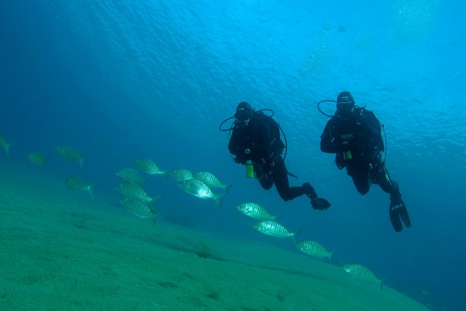 Make a Private Try Dive, for Your First Scuba Experience! - Personalized Guidance From Instructor