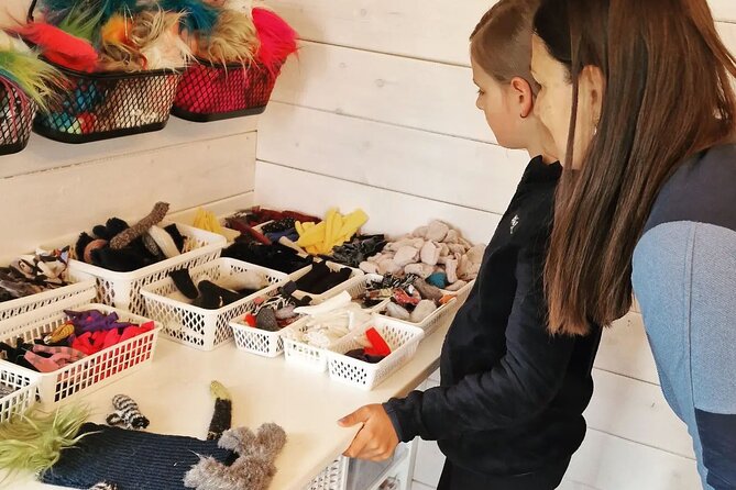 Make an Icelandic Wool Monster Private Experience - Accessibility Information