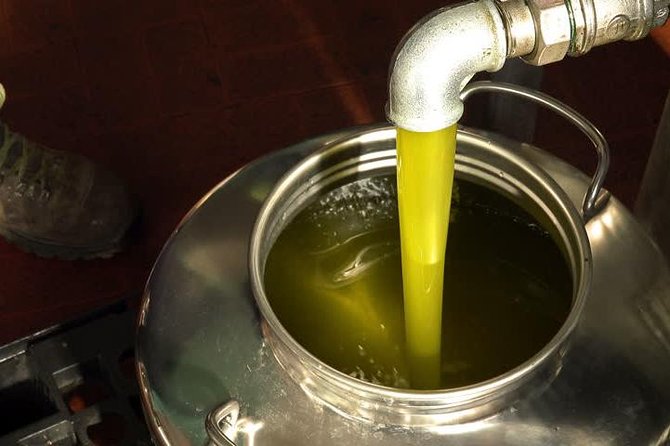 Make You Own Wildcrafted Extra Virgin Olive Oil! - Uncover the Secrets of Wildcrafted Olive Oil
