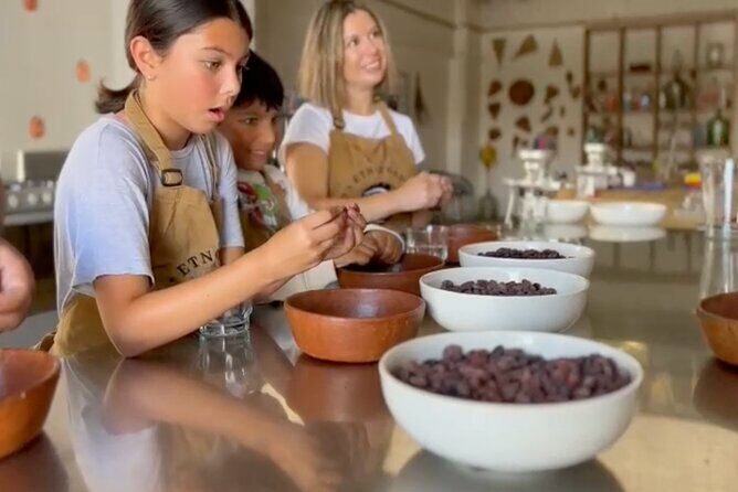 Make your own chocolates with Chocolatier - Key Points