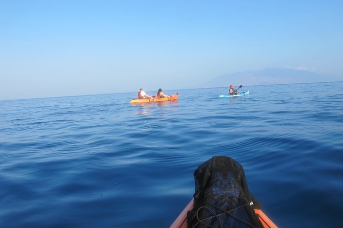 Makena Turtle Town Eco Adventure in Maui - Meeting and Pickup