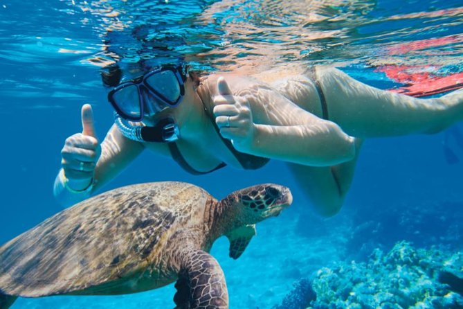 Makena Turtle Town Eco Adventure in Maui - Accessibility and Recommendations