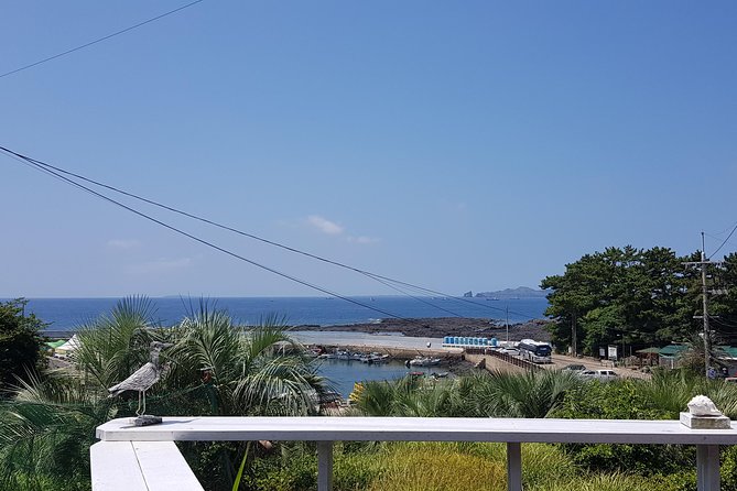 Making Jeju Pony Doll at Peaceful Seaside Cafe - Storytelling and Jeju Life