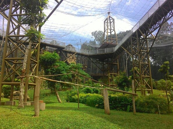 Malacca Zoo, Malaysia Heritage Studio & Crocodile Farm With Lunch - Key Points