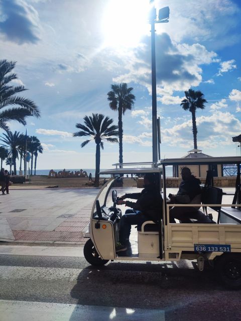 Málaga 1-hour by TukTuki: Essential and Private Tour - Accessibility and Requirements