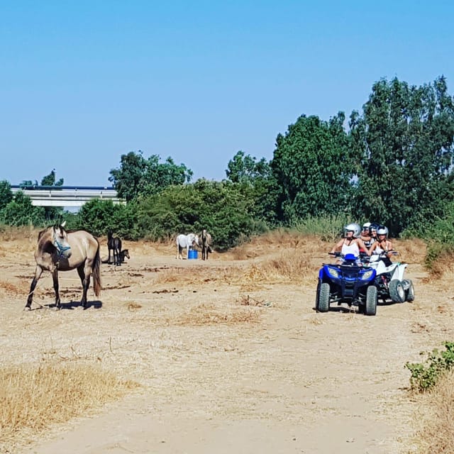 Málaga: 3-Hour Guided All-Terrain Two-Seater Quad Tour - Cancellation Policy