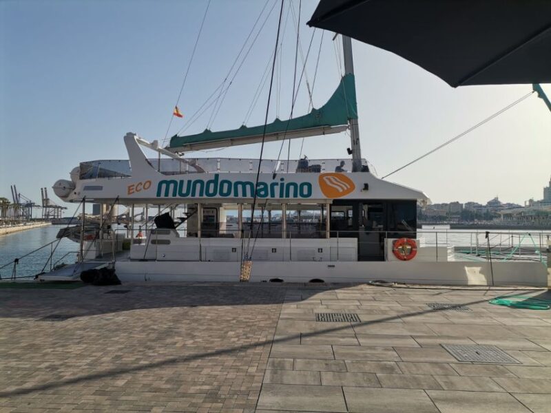 Malaga: A Sea of Stars Nighttime Stargazing Catamaran Tour - Key Points