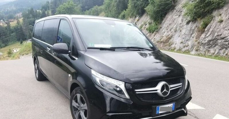 Malaga Airport (AGP): Private Transfer to Marbella - Included Services