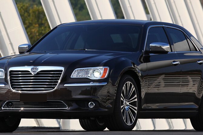 Malaga Airport (Costa Del Sol) Private Arrival Transfer - Features and Comfort