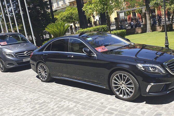 Malaga Airport (Costa Del Sol) Private Arrival Transfer - Vehicle Options