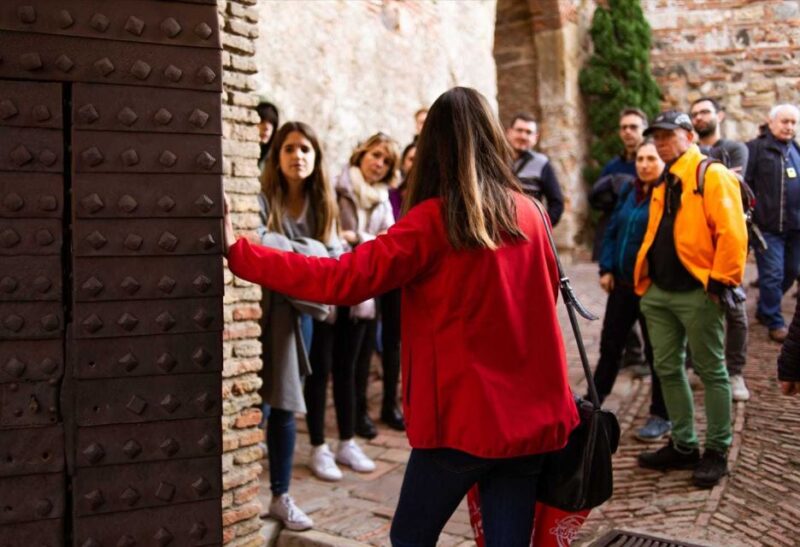 Málaga: Alcazaba and Roman Theatre Guided Tour With Entry - Languages and Pricing