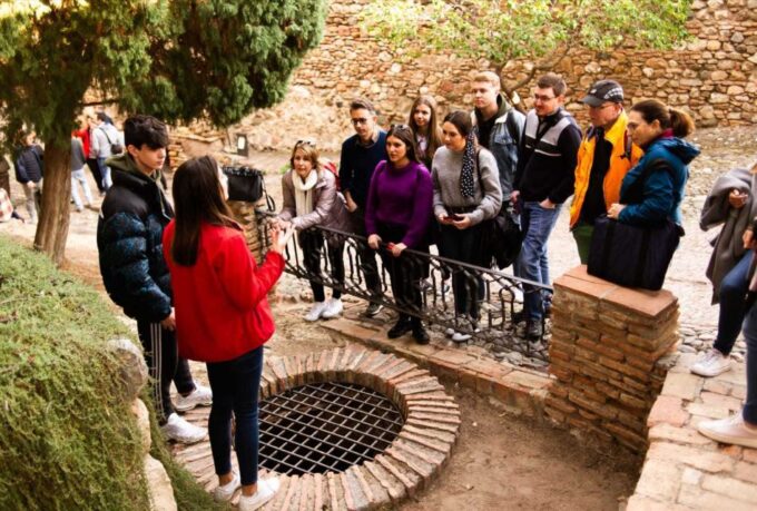 Málaga: Alcazaba and Roman Theatre Guided Tour With Entry - Additional Notes
