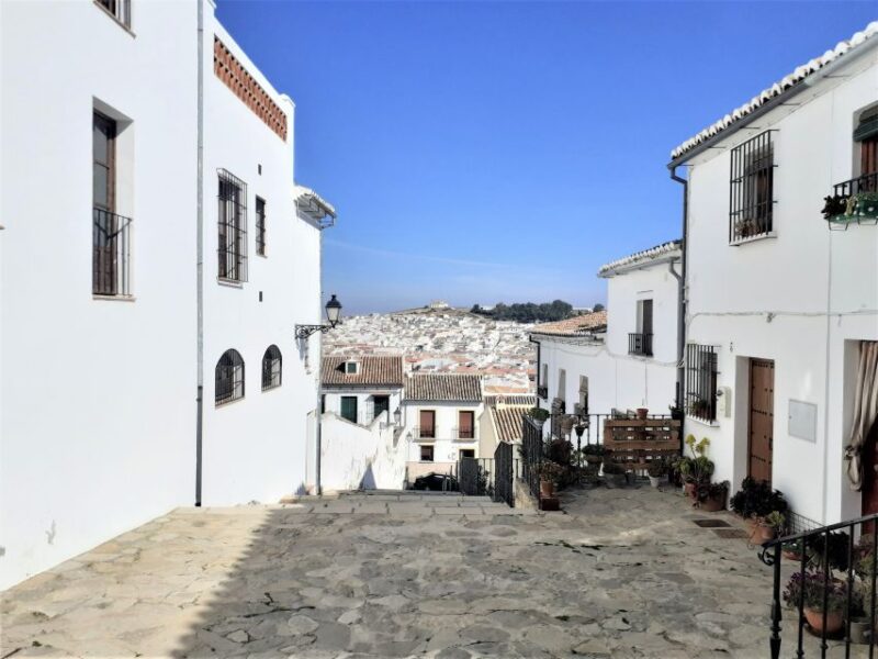 Malaga: Antequera Guided Walking Tour - Roman Baths and Collegiate