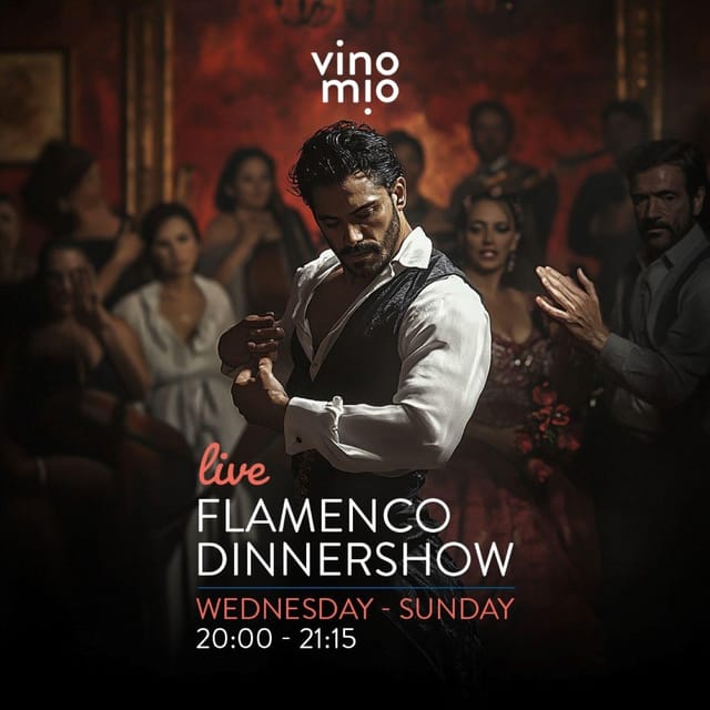 Malaga: Authentic Flamenco Dinner Show at Vino Mio - Key Points