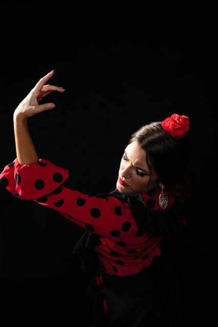 Malaga: Authentic Flamenco Dinner Show at Vino Mio - Booking Information