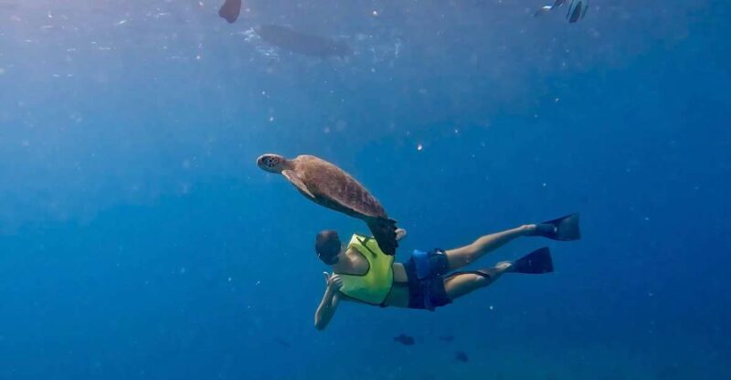 Malaga: Boat Tour With Snorkeling, Water Activities, and Lunch - Key Points