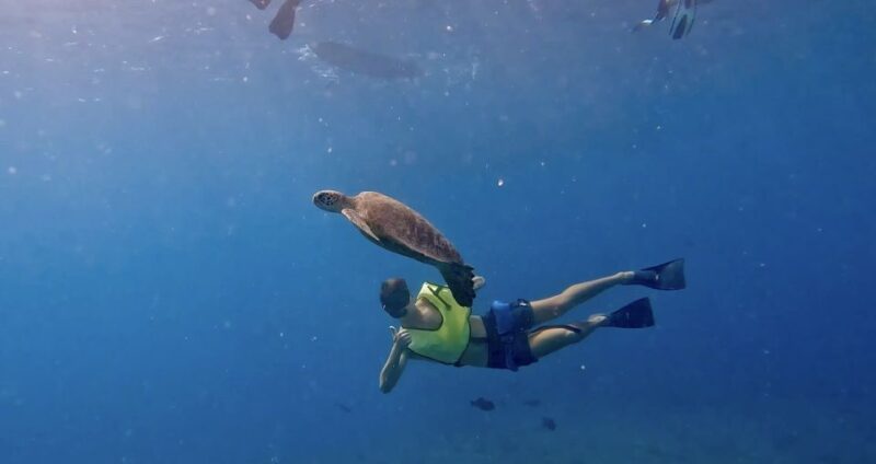 Malaga: Boat Tour With Snorkeling, Water Activities, and Lunch - Activities Included in the Excursion