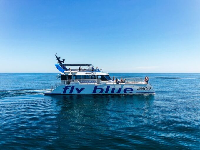 Malaga: Catamaran Cruise With Optional Swimming Stop - Panoramic Views of Malagas Skyline