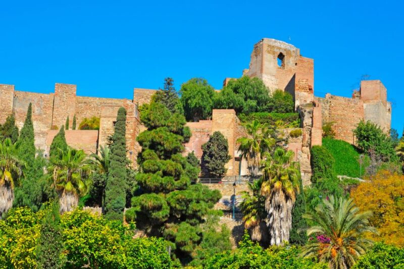 Malaga: City Exploration Game and Tour - Customer Feedback and Ratings
