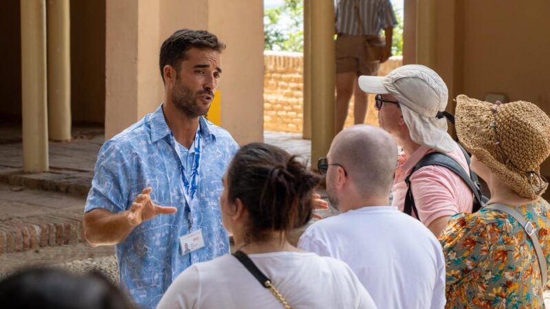 Malaga: Complete Small Premium Group Tour With Entrance Fees Included - Key Points