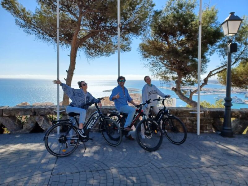 Málaga E-Bike Tour With Full Day Rental - Participant Requirements