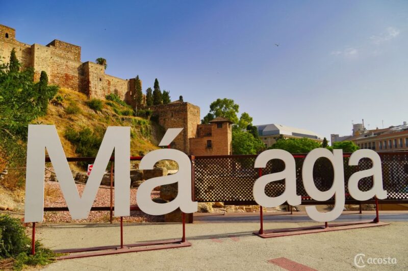Malaga: Electric Car City Tour and Visit Gibralfaro Castle - Itinerary Overview