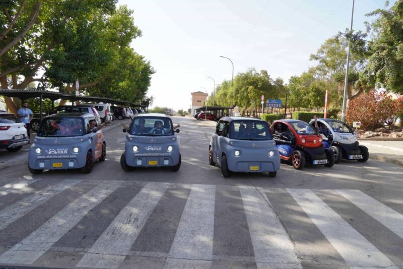 Malaga: Electric Car City Tour and Visit Gibralfaro Castle - Participant Requirements