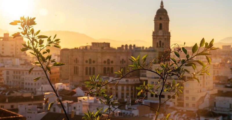 Malaga: Express Walk With a Local in 60 Minutes - Key Points