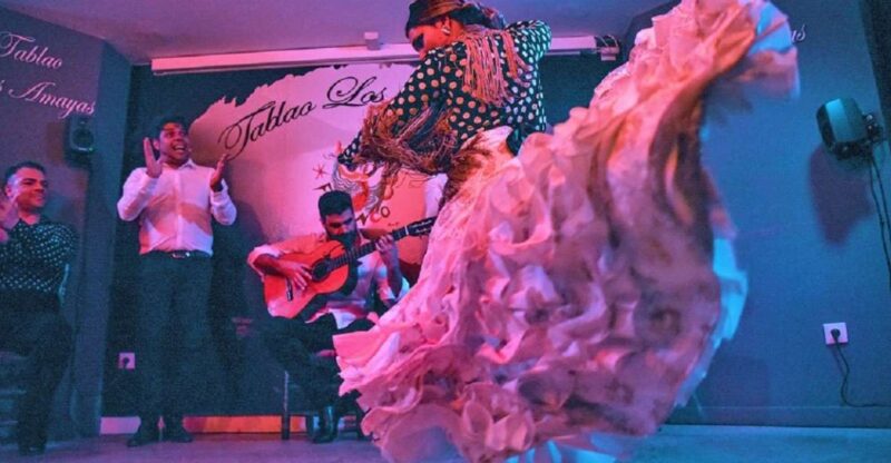 Málaga: Flamenco and City Highlights Guided Tour - Guided Walking Tour