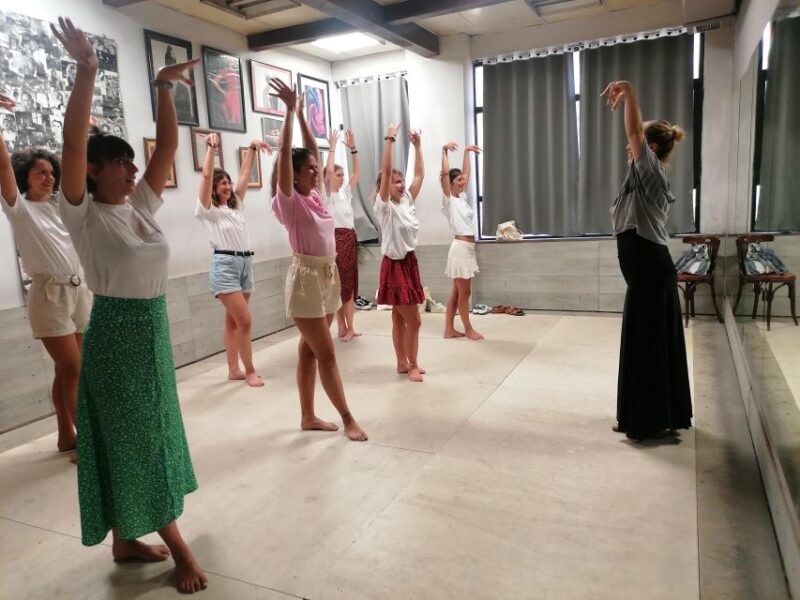 Málaga: Flamenco Class Experience - Instruction and Techniques