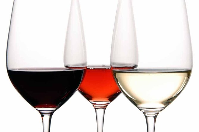 Malaga Gastronomy Tour Wines and Spanish Tapas - Pairing Iberian Wines and Regional Tapas