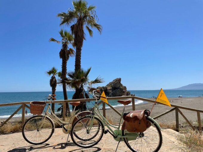 Malaga: Guided Bike Tour - Tour Availability