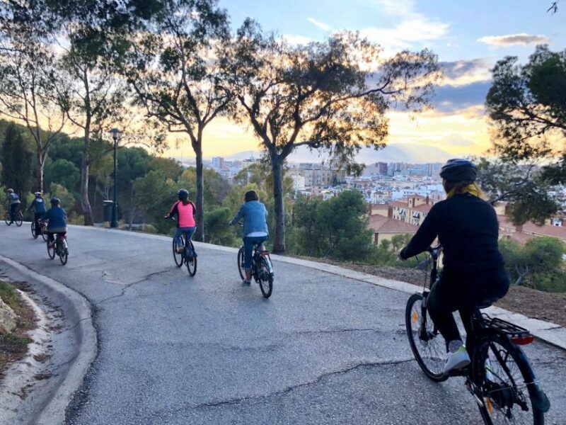 Malaga: Guided E-Bike Tour - Tour Highlights