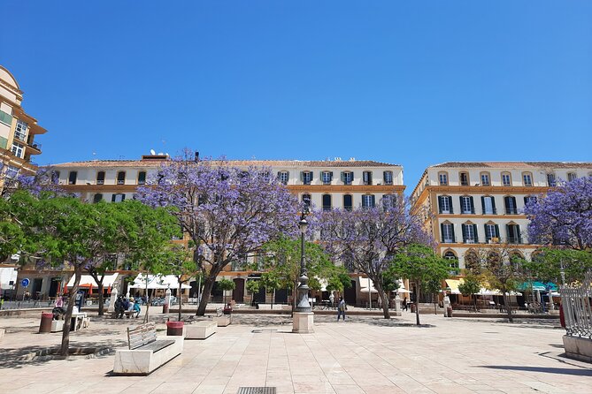 Malaga Half-Day Walking City Tour With Private Expert Guide - Booking and Accessibility