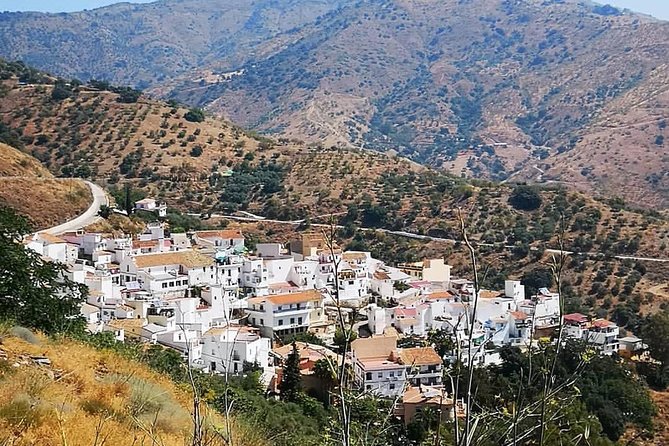 Malaga Highest Peak E-Bike Tour: White Village Olias and El Palo - Location and Reviews
