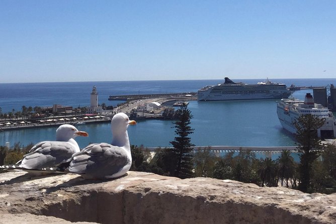 Malaga Highlights: A Welcome Private City Tour - Exploring Malagas Rich History