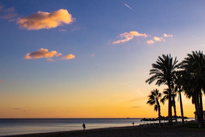 Malaga Highlights, Old Town & Viewpoints Walking Tour - Reviews and Ratings