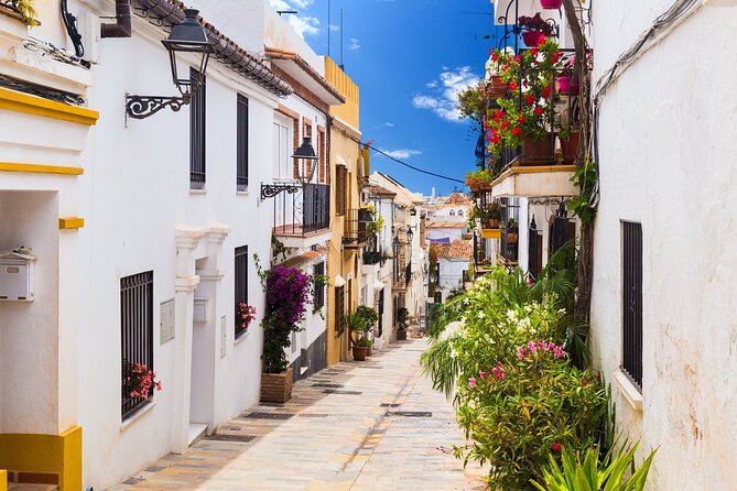 Malaga Highlights Tour, Picasso Museum & Marbella From Seville - Tour Highlights