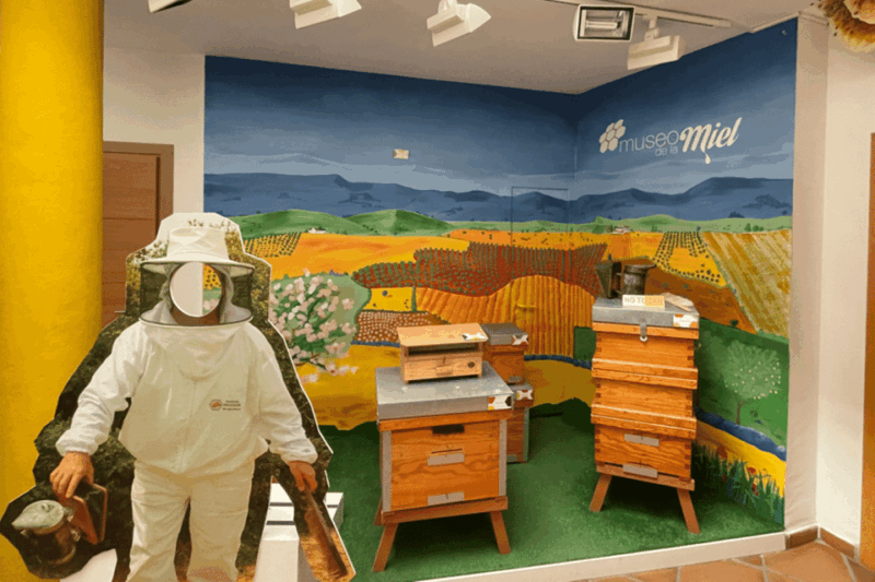 Malaga: Honey Museum Entry Ticket - Activities and Highlights