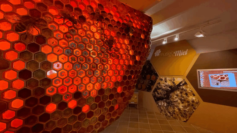 Malaga: Honey Museum Entry Ticket - Honey Production History