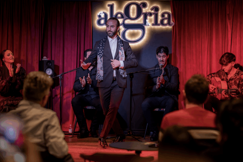 Málaga: Live Flamenco Show at Flamenco Alegría - Ticket Information