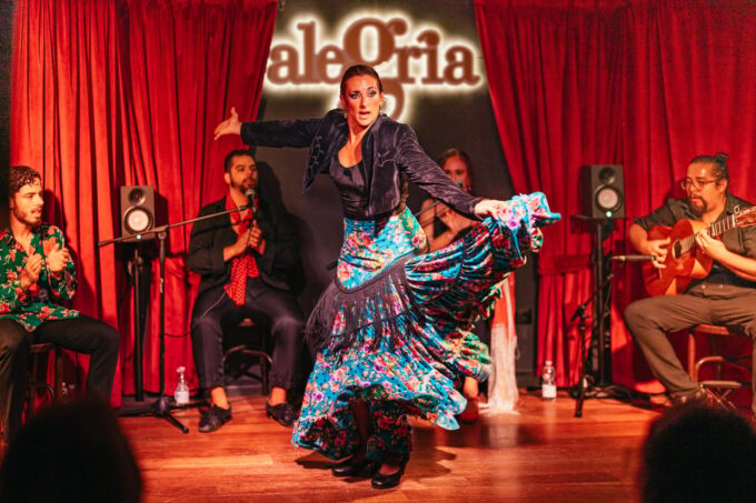 Málaga: Live Flamenco Show at Flamenco Alegría - Attire and Photography