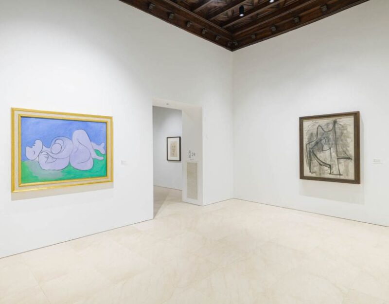 Malaga: Picasso Museum Guided Tour With Skip-The-Line Ticket - Local Guide Insights