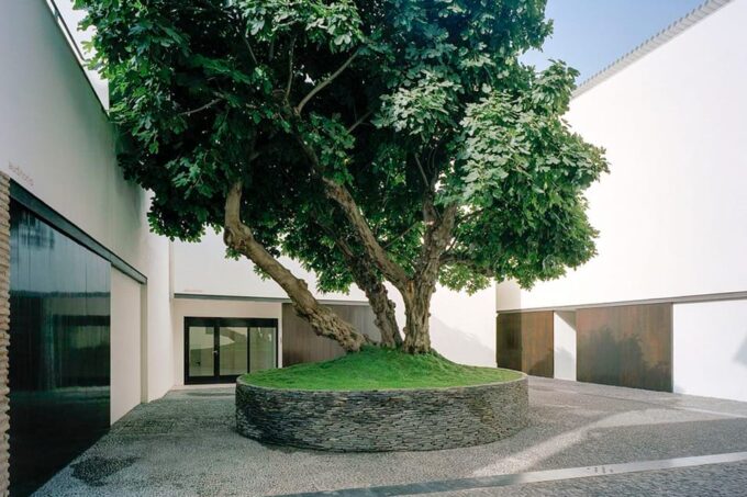 Málaga: Picasso Museum Málaga Entry Ticket - Free Entrance on Sundays