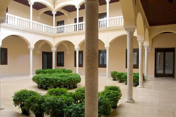 Málaga Picasso Museum Private Guided Tour - Overview of the Tour